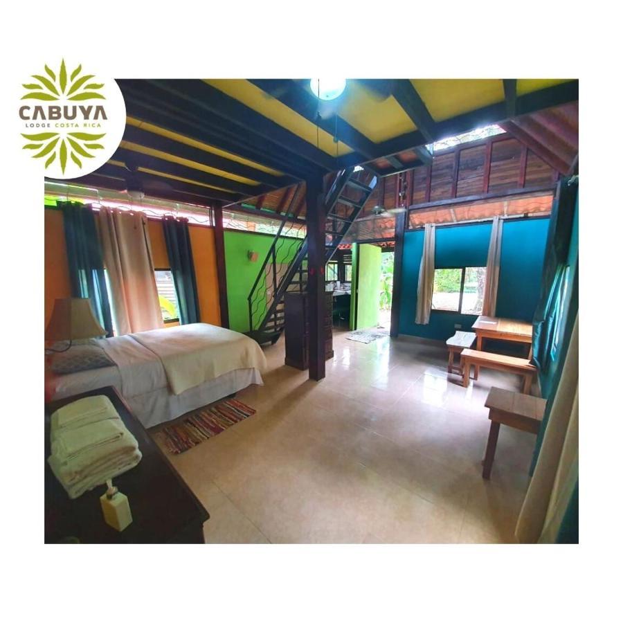 Cabuya Lodge Bagian luar foto