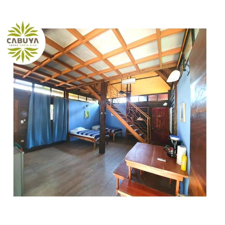 Cabuya Lodge Bagian luar foto